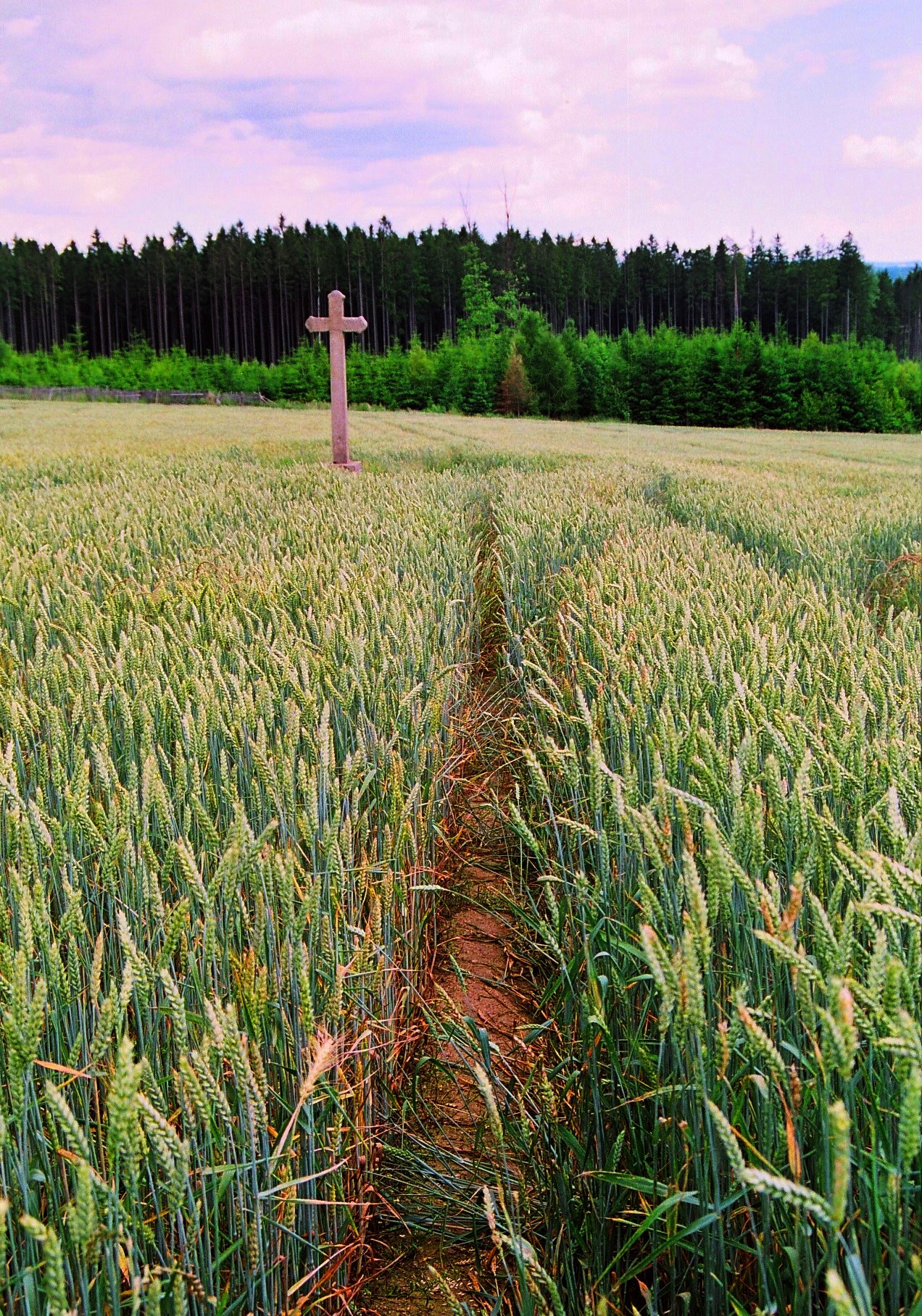 Kopie - Photo06_4