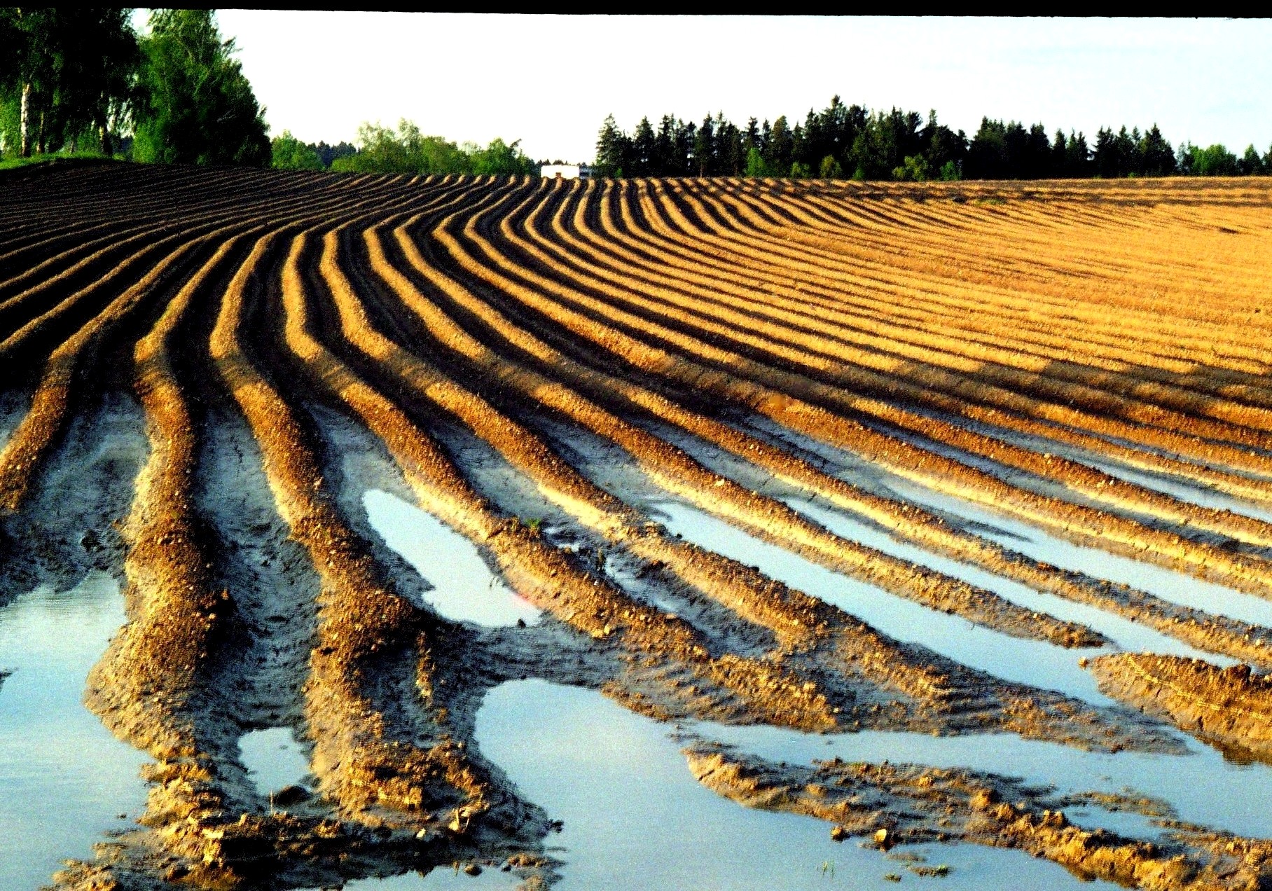Photo19_1A